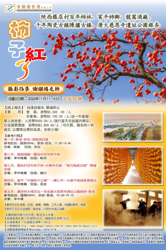 陝西羅店村百年柿林丶富平柿鄉、龍窩酒廠、千年陶瓷古鎮陳爐古鎮、唐大慈恩寺遣址公園銀杏五天攝影團